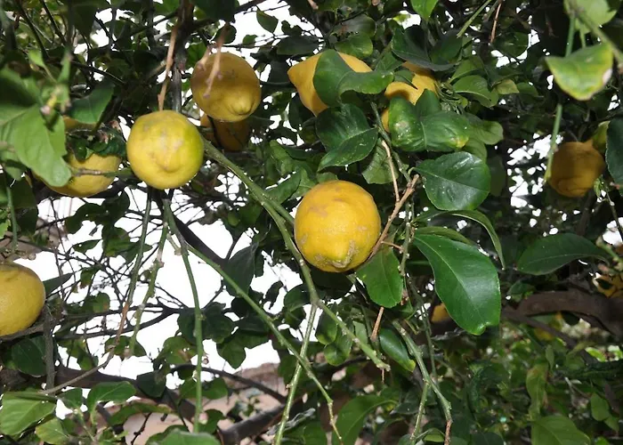 Un Sogno In Riva Al Mare