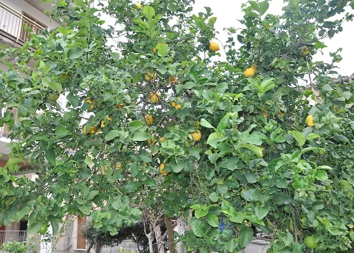 Un Sogno In Riva Al Mare Belmonte Calabro