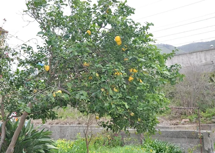 Apartment Un Sogno In Riva Al Mare