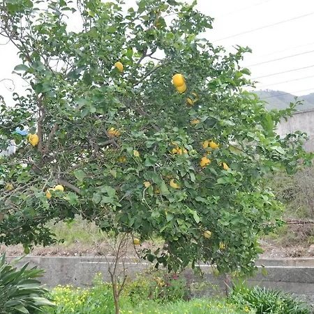 Apartment Un Sogno In Riva Al Mare